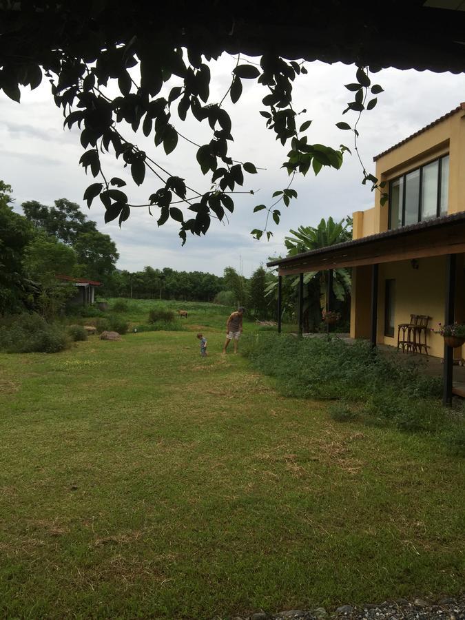麵包樹舍 Breadfruit B&B 光復郷 エクステリア 写真
