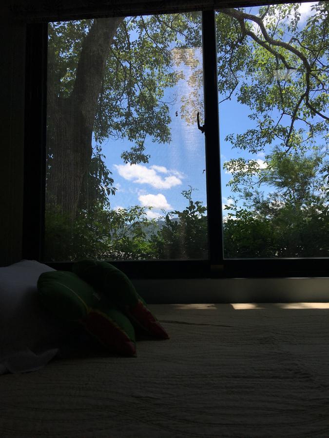 麵包樹舍 Breadfruit B&B 光復郷 エクステリア 写真